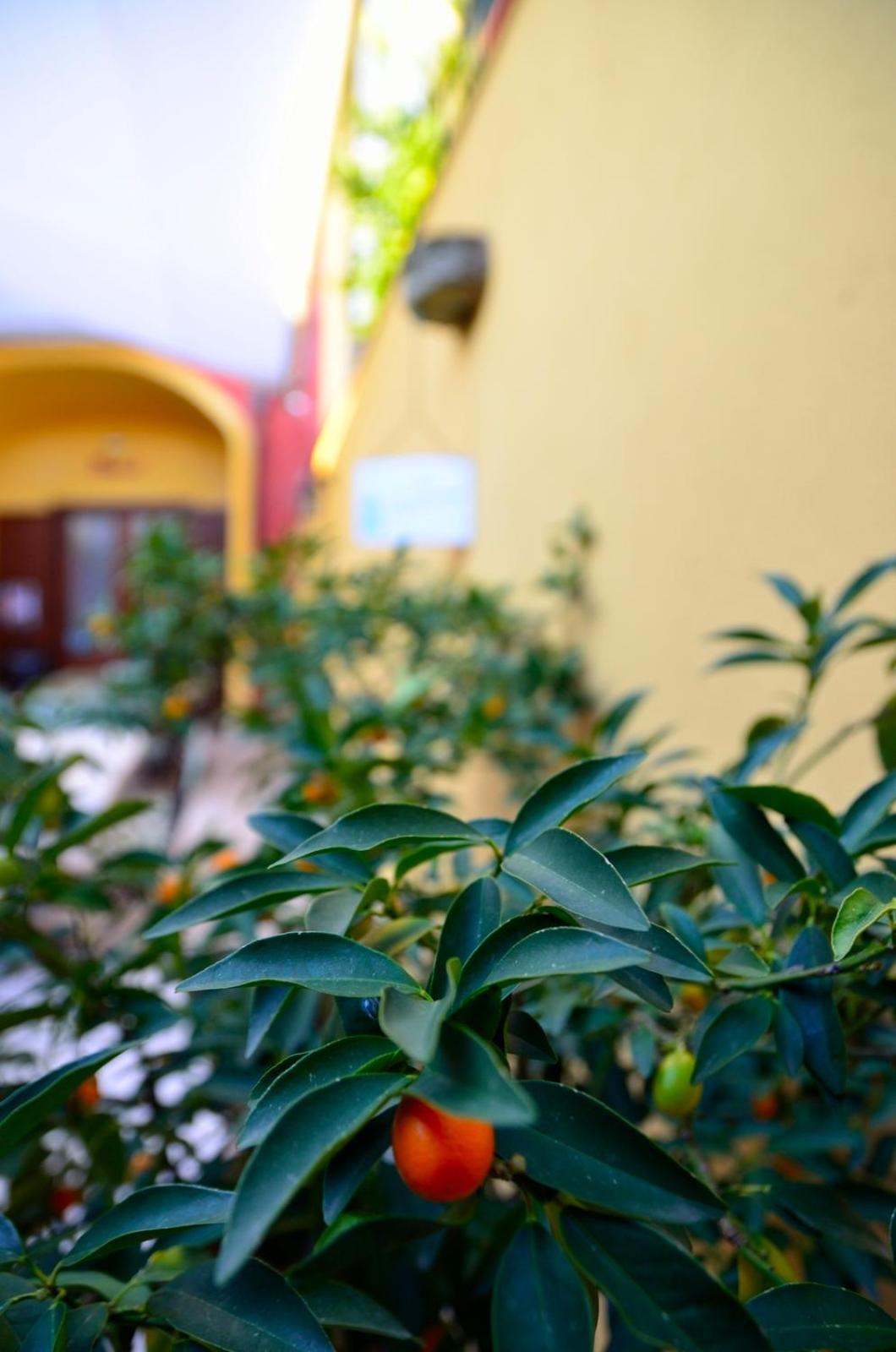 Manouche Osteria B&B San Leucio Zewnętrze zdjęcie